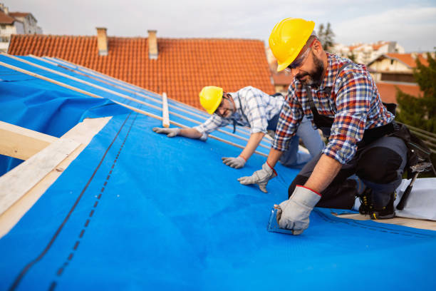 Best Roof Leak Repair  in Villa Ridge, MO