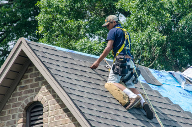 Best Emergency Roof Repair  in Villa Ridge, MO